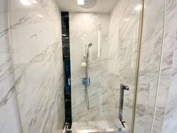 Wallich Residence  (D2), Condominium #560814121